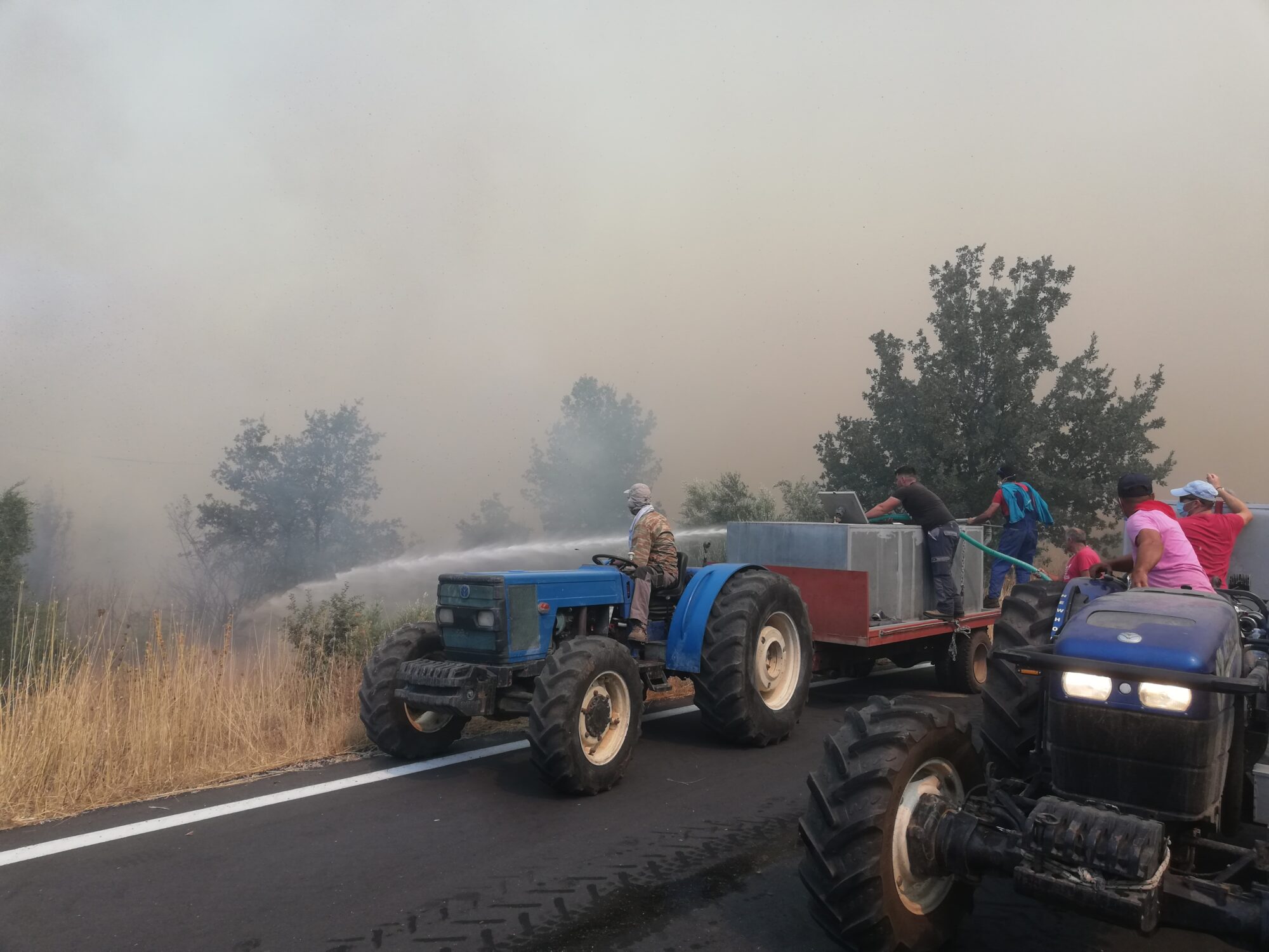 Wildfires in Greece: a retrospect in the enormous ecological destruction